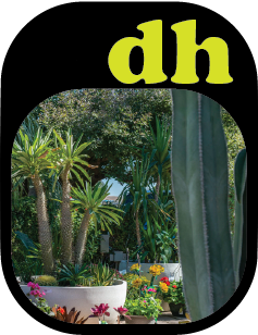 desert horizon icon 3